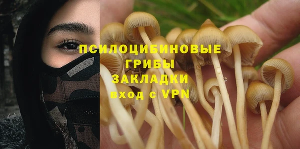 соль курить ск Армянск