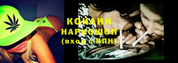 твердый Арсеньев