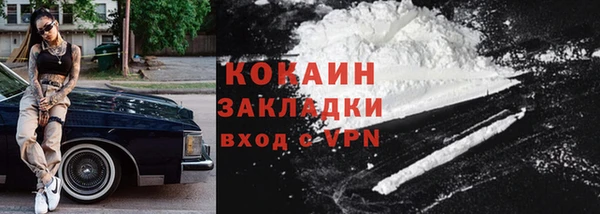 твердый Арсеньев