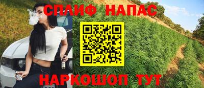 mdpv Беслан