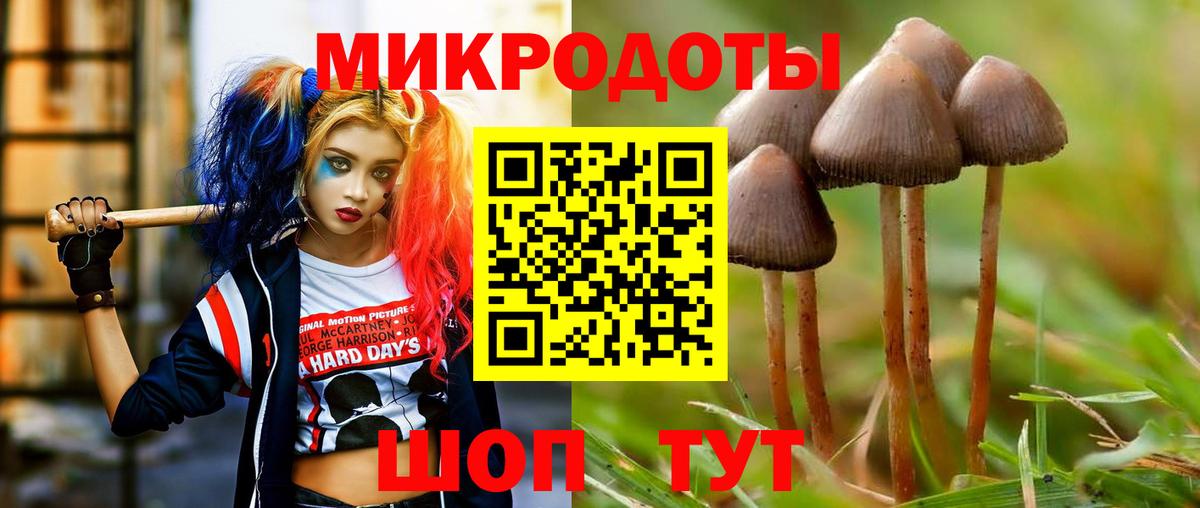 Галлюциногенные грибы Psilocybe Выкса