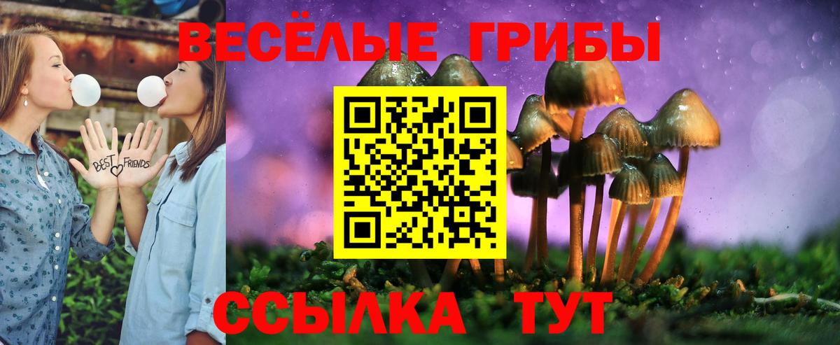 Галлюциногенные грибы прущие грибы  Псилоцибиновые грибы Magic Shrooms  Вход с VPN  Выкса 
