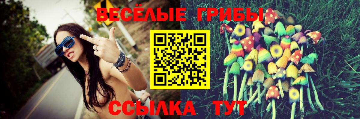 Галлюциногенные грибы GOLDEN TEACHER Выкса